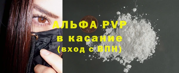 шишки Покачи