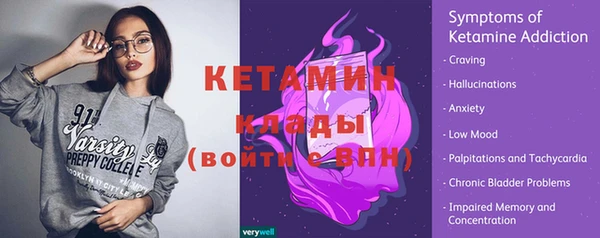 шишки Покачи