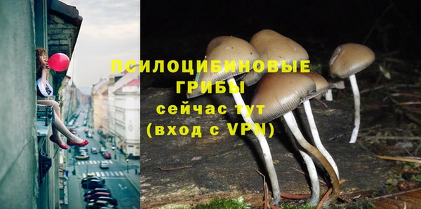 mdpv Гвардейск