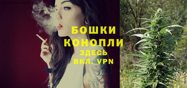 гашик Переславль-Залесский