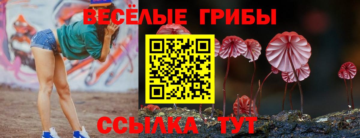 Галлюциногенные грибы Psilocybine cubensis  Галлюциногенные грибы ЛСД  Павлово  Вход с VPN 