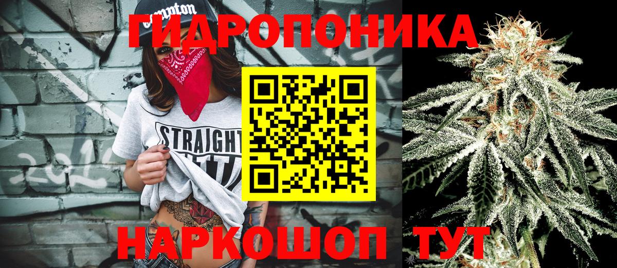 Канабис OG Kush Павлово